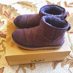 Purple short Ugg’s